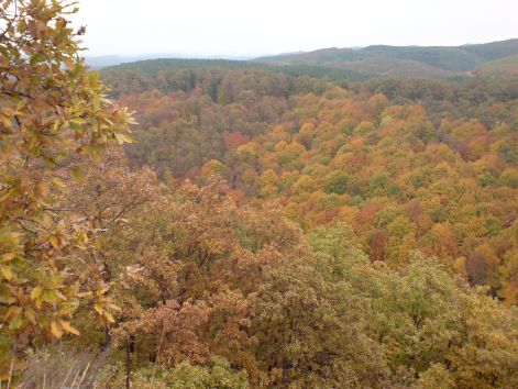 2010_10_18_termeszetkep_1.jpg