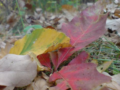 2011_10_07.jpg
