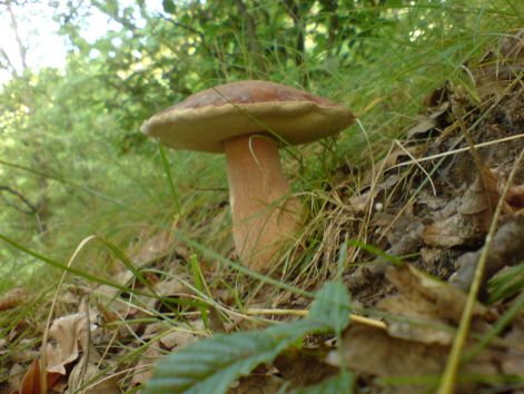 varganya_12_2011_08.jpg varganya_12_2011_08.jpg