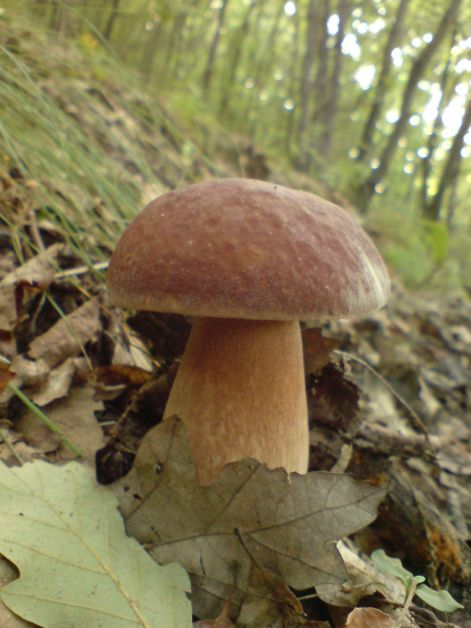 varganya_16_2011_08.jpg varganya_16_2011_08.jpg
