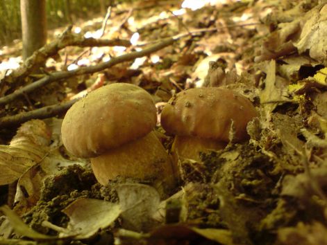 varganya_18_2011_08.jpg varganya_18_2011_08.jpg