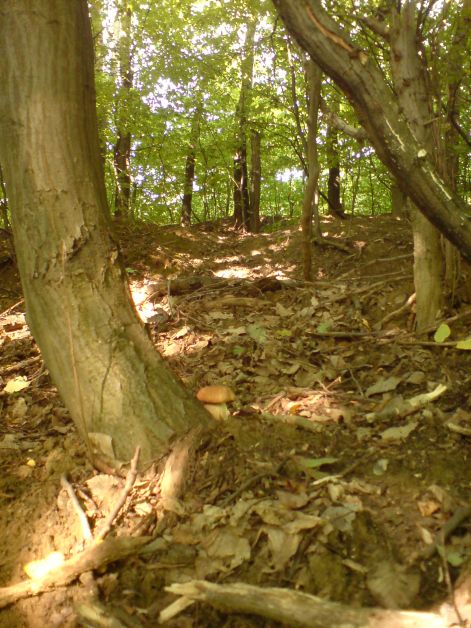 varganya_19_2011_08.jpg varganya_19_2011_08.jpg