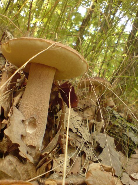 varganya_2011_08_008.jpg varganya_2011_08_008.jpg