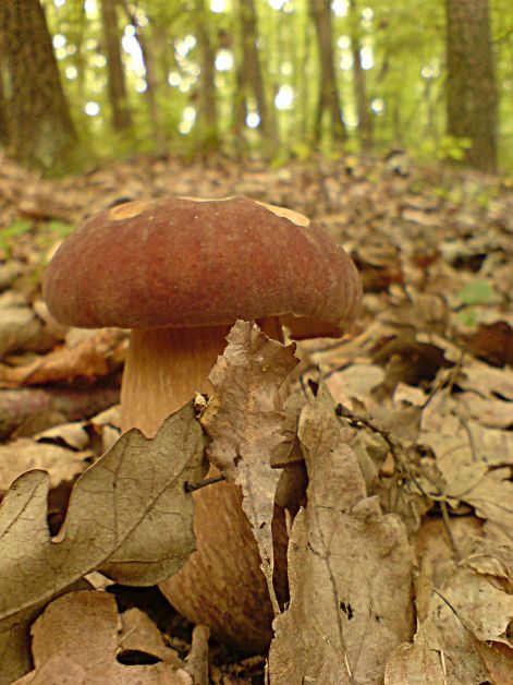 varganya_2011_08_015.jpg varganya_2011_08_015.jpg
