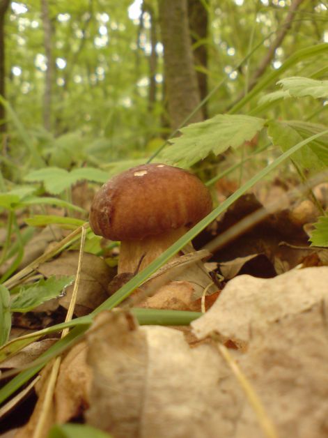 varganya_2011_08_020.jpg varganya_2011_08_020.jpg