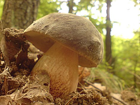 varganya_2011_08_027.jpg varganya_2011_08_027.jpg