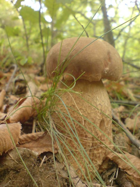 varganya_2011_08_037.jpg varganya_2011_08_037.jpg