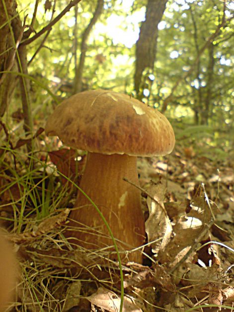 varganya_2011_08_038.jpg varganya_2011_08_038.jpg