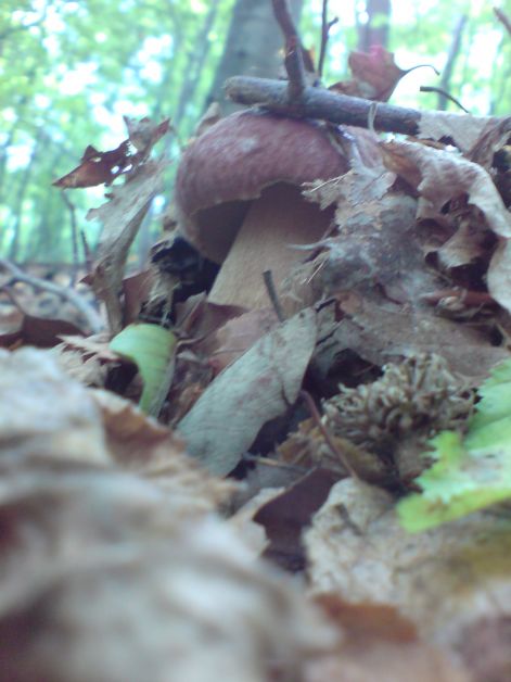 varganya_23_2011_08.jpg varganya_23_2011_08.jpg