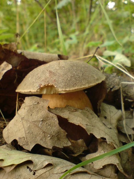 varganya_30_2011_08.jpg varganya_30_2011_08.jpg